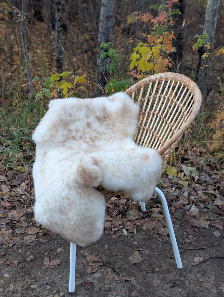 A soft cream-colored british isles sheepskin rug with fluffy texture draped over a wicker chair seat and back