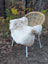 A cozy cream british isles sheepskin rug draped over a wicker chair with white metal legs softbrit 46 x 27