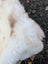 A fluffy white dog with a brown patch resting on a very soft british isles sheepskin rug 47 x 28 inches