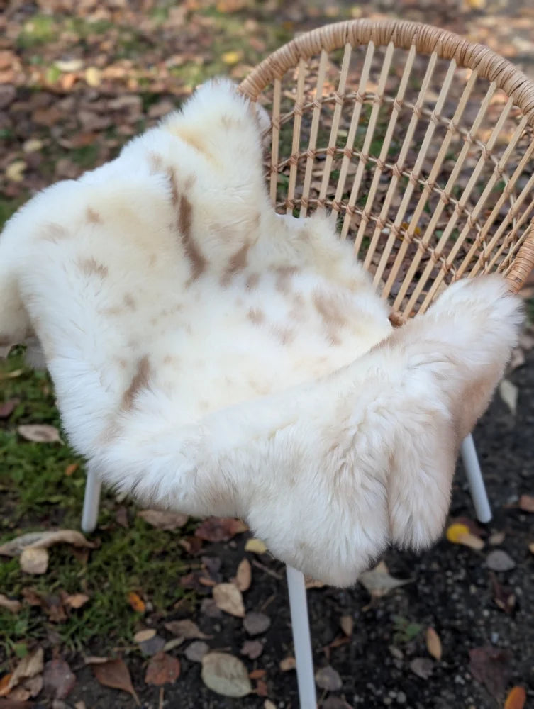 Softbrit4 47 x 28 cream british isles sheepskin rug with brown speckles draped over wicker chair