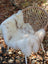Softbrit4 white faux fur throw with brown speckles draped on wicker chair soft british isles sheepskin