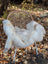 White faux fur throw blanket with subtle brown speckles draped on wicker chair soft british isles sheepskin
