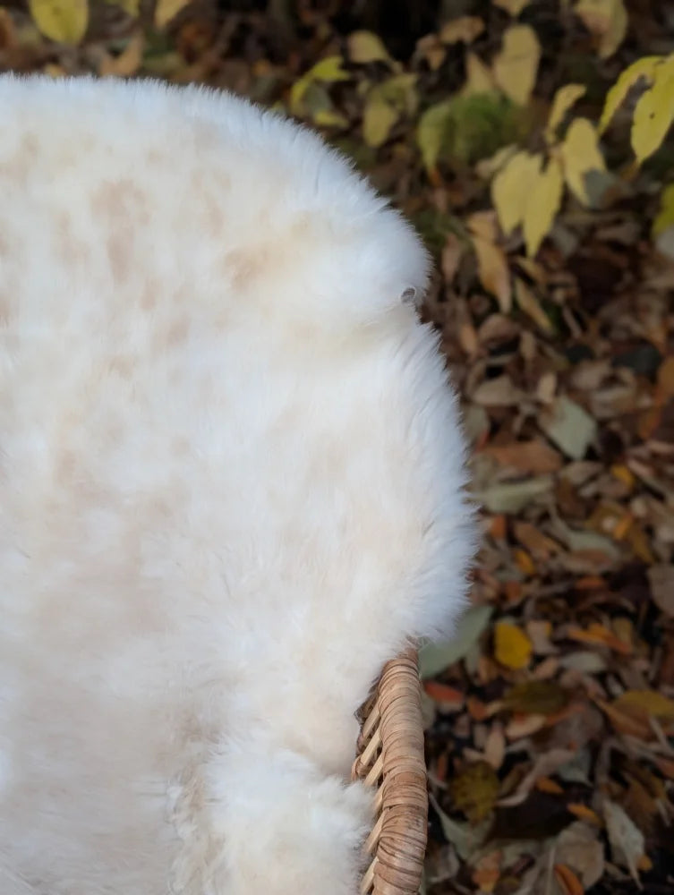 A fluffy white dog sits in a woven basket on a soft british isles sheepskin rug for cozy comfort