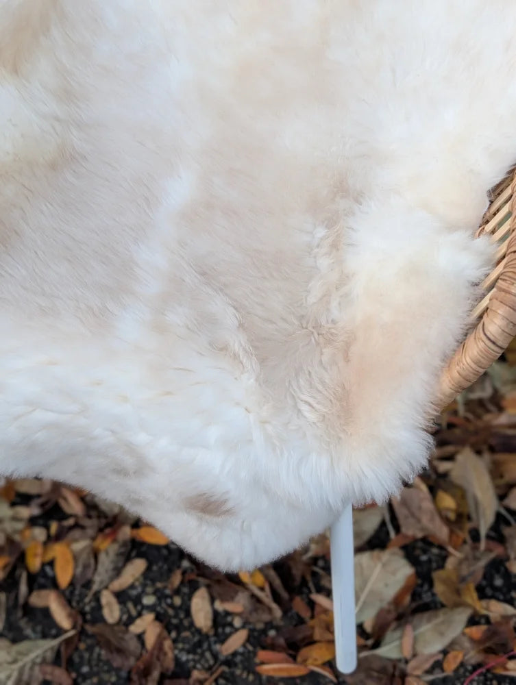 A plush off-white british isles sheepskin rug with soft fluffy texture draped over a wicker chair edge
