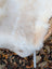A plush off-white british isles sheepskin rug with soft fluffy texture draped over a wicker chair edge