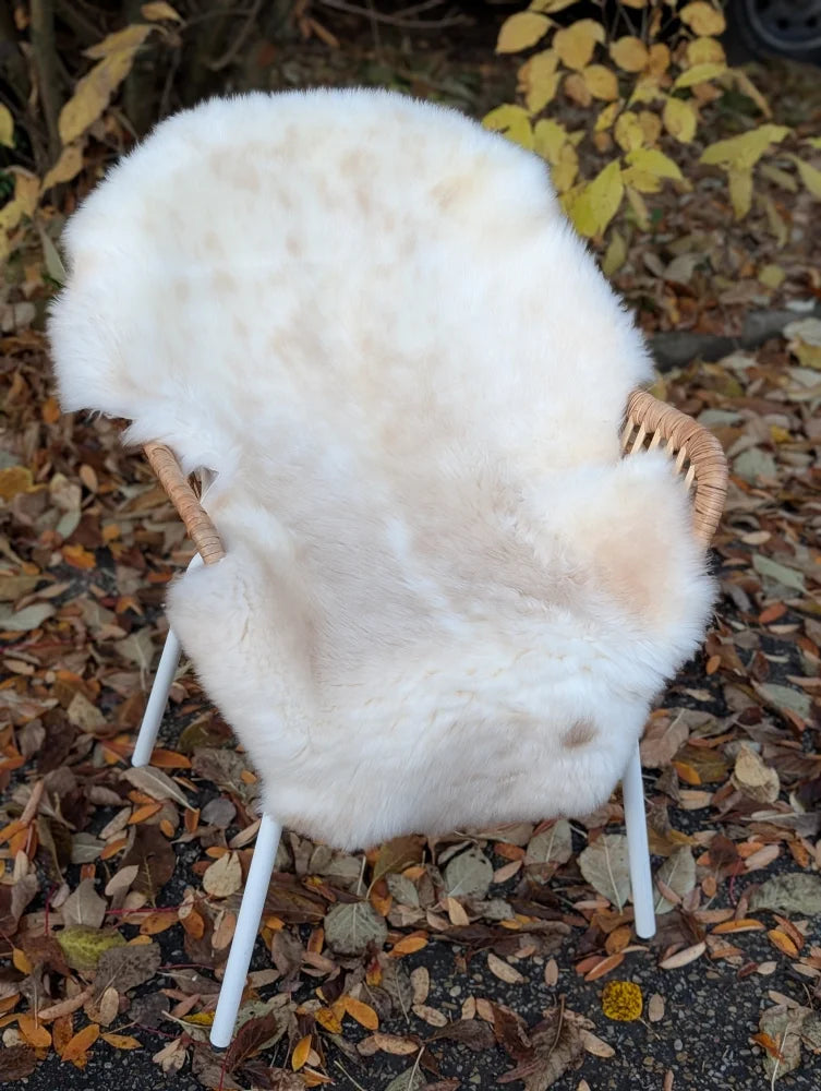 A plush off-white very soft british isles sheepskin rug draped over a wicker chair with white metal legs