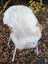 A plush off-white very soft british isles sheepskin rug draped over a wicker chair with white metal legs