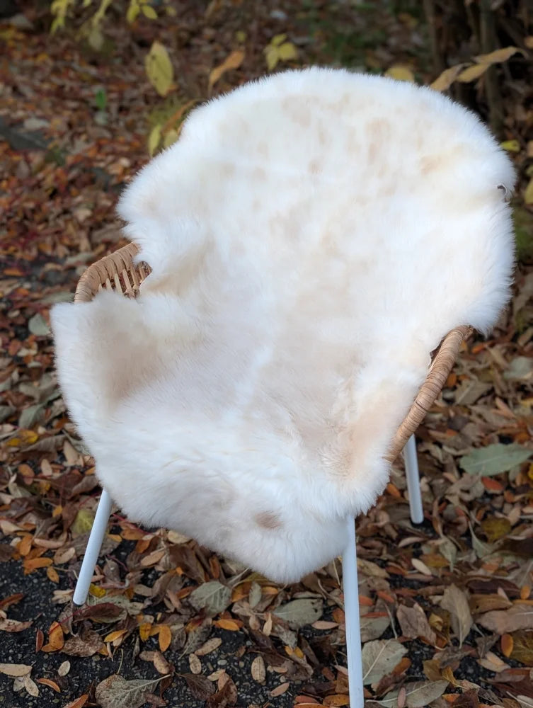 A plush off-white british isles sheepskin rug draped over a wicker chair showing its soft texture