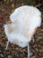 A plush off-white british isles sheepskin rug draped over a wicker chair showing its soft texture