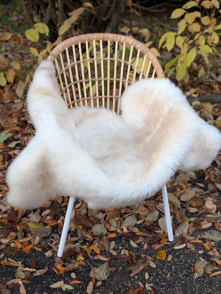 A softbrit5 46 x 29 off-white very soft british isles sheepskin faux fur throw on a wicker chair with white metal legs