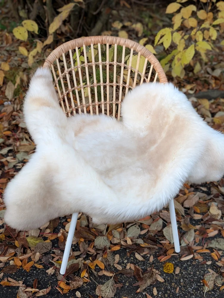 A softbrit#5 off-white plush faux fur british isles sheepskin throw draped on a wicker chair with white metal legs