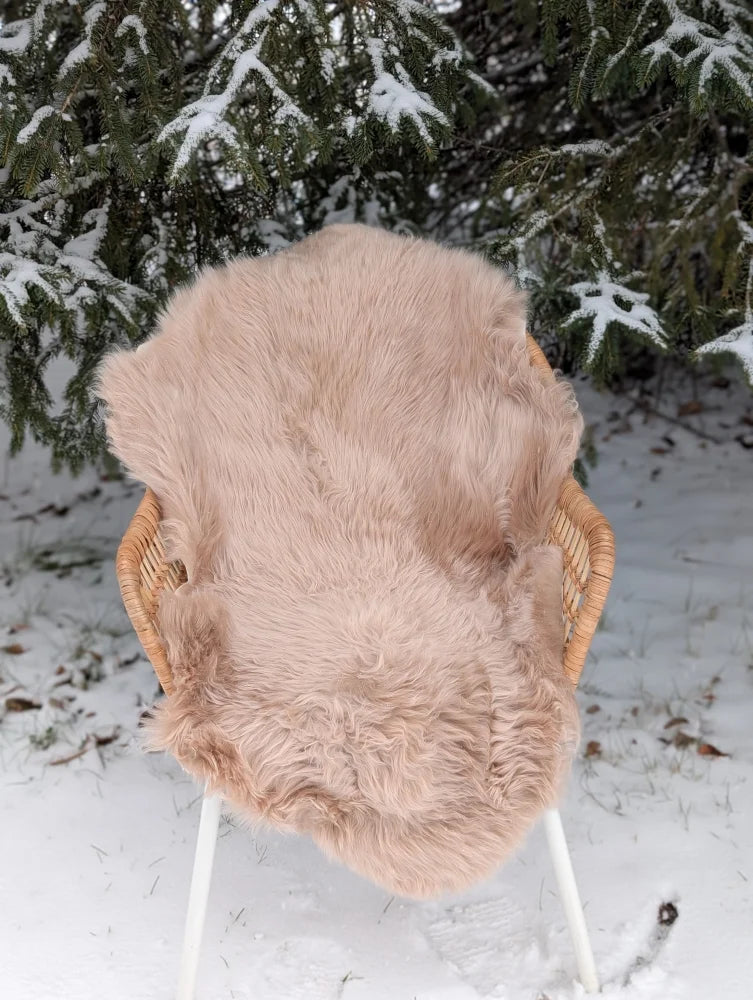 A soft blush-colored merino sheepskin rug in light taupe draped over a wicker chair for cozy mid october vibes