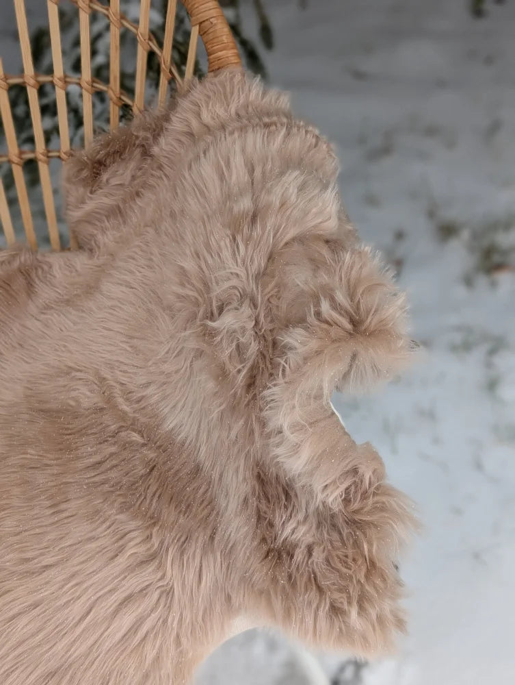 A soft light taupe merino sheepskin throw draped over a wicker chair perfect for cozy mid october vibes