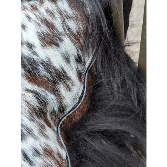 Brown and white spotted natural cowhide saddle pad with stitched edge perfect for long wool Icelandic riding
