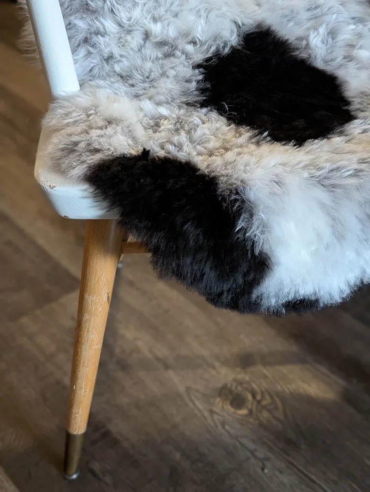 A cozy black and white medium spotted icelandic sheepskin chair pad with soft fluffy short wool texture 39 x 25.5 inches