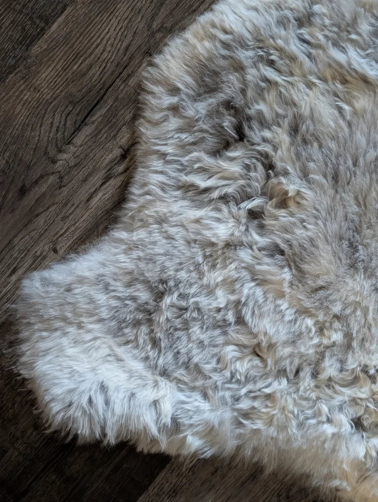 A soft curly gray and white medium spotted icelandic sheepskin rug with short wool on dark wooden floor