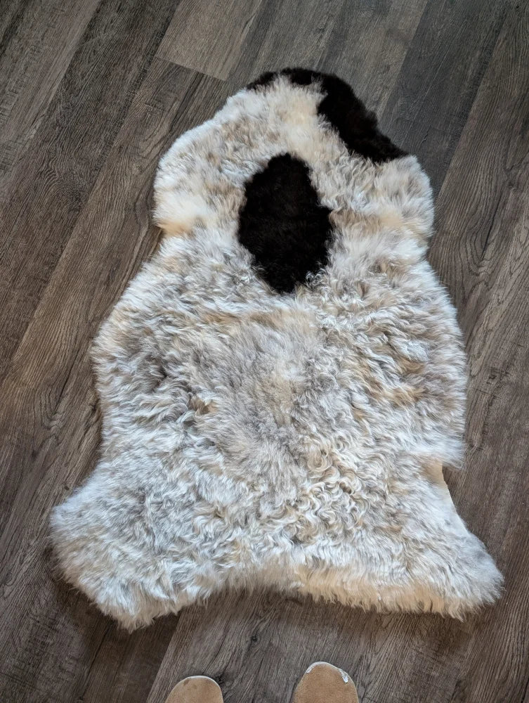 A plush icelandic sheepskin rug with short wool in off-white and black abstract spots measuring 39 by 25.5 inches