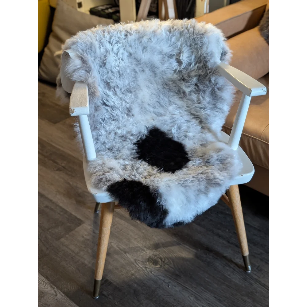 A cozy medium spotted icelandic sheepskin with natural gray and black short wool draped over a white wooden chair