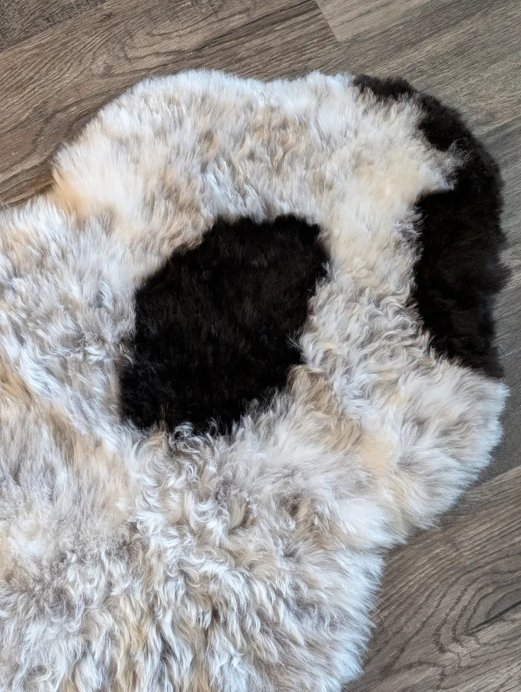 Plush irregular icelandic sheepskin rug with natural white and black short wool curly fur 39 by 25.5 inches