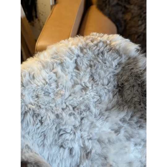 A plush curly gray and white short wool icelandic sheepskin throw blanket measuring 39 by 28 inches