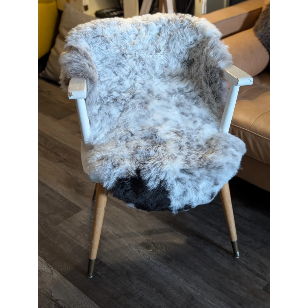 A cozy gray and white medium spotted icelandic sheepskin with short wool draped over a mid-century modern chair
