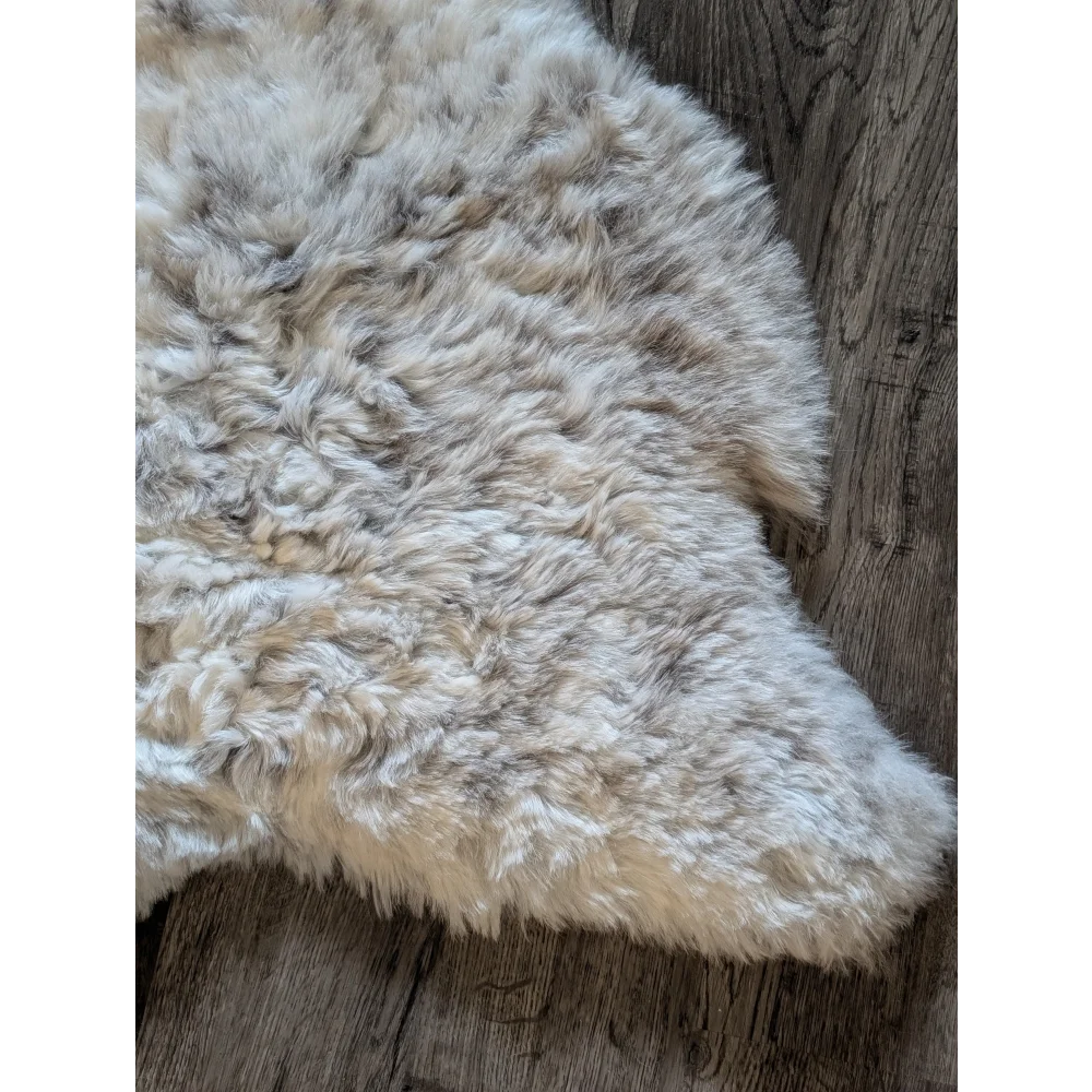 A plush medium spotted icelandic sheepskin rug in cream and gray with short wool texture sized 39 x 28 inches