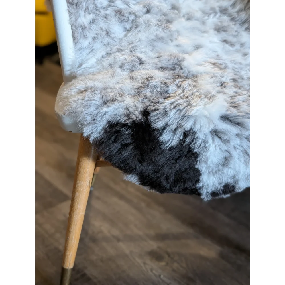 A plush medium spotted icelandic sheepskin throw in white and dark gray short wool perfect for cozy decor