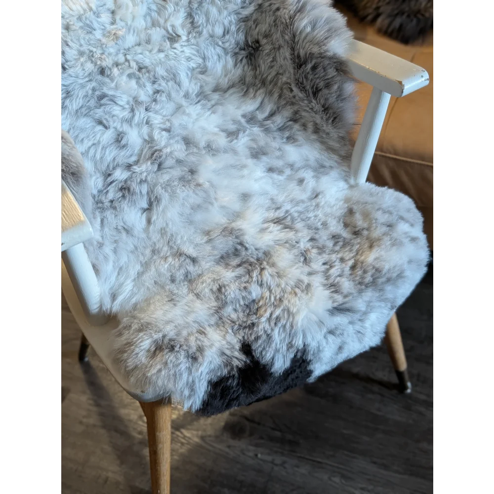 A plush medium spotted icelandic sheepskin throw in white and gray with short wool texture measuring 39 x 28 inches