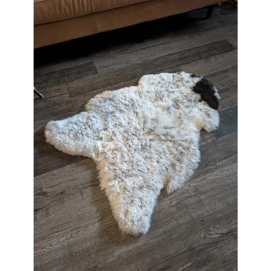 A fluffy medium spotted icelandic sheepskin rug with short wool in white cream gray and a dark brown patch
