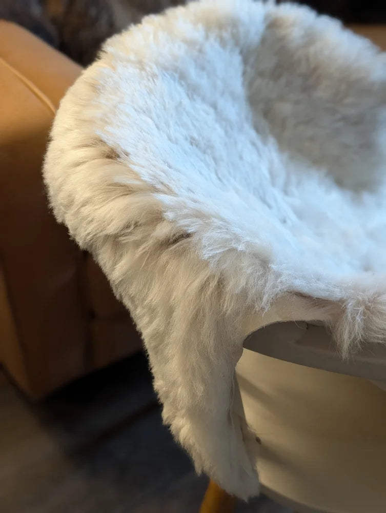 A plush white medium spotted icelandic sheepskin throw with short wool draped over a chair edge