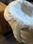 A plush white medium spotted icelandic sheepskin throw with short wool draped over a chair edge