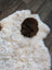A plush white icelandic sheepskin rug with a dark brown spot made of short wool measuring 40.5 by 29 inches