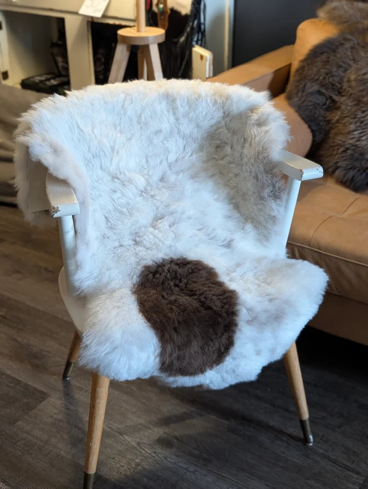 White and brown medium spotted icelandic sheepskin chair cover with short wool draped over wooden armchair