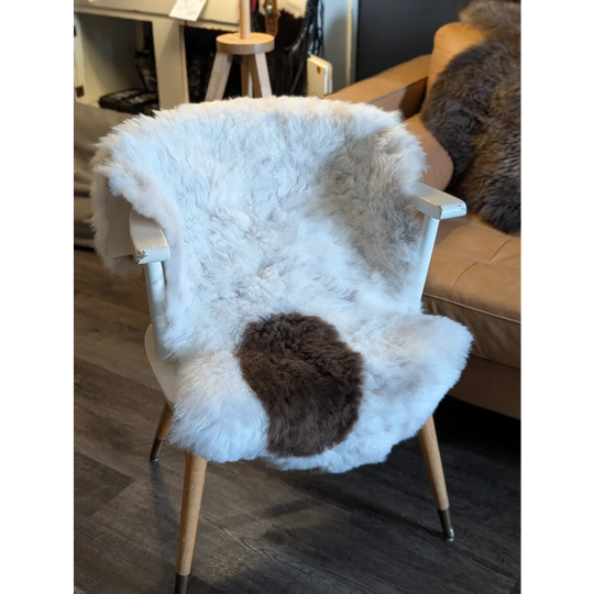 White and brown medium spotted icelandic sheepskin chair cover with short wool draped over wooden armchair