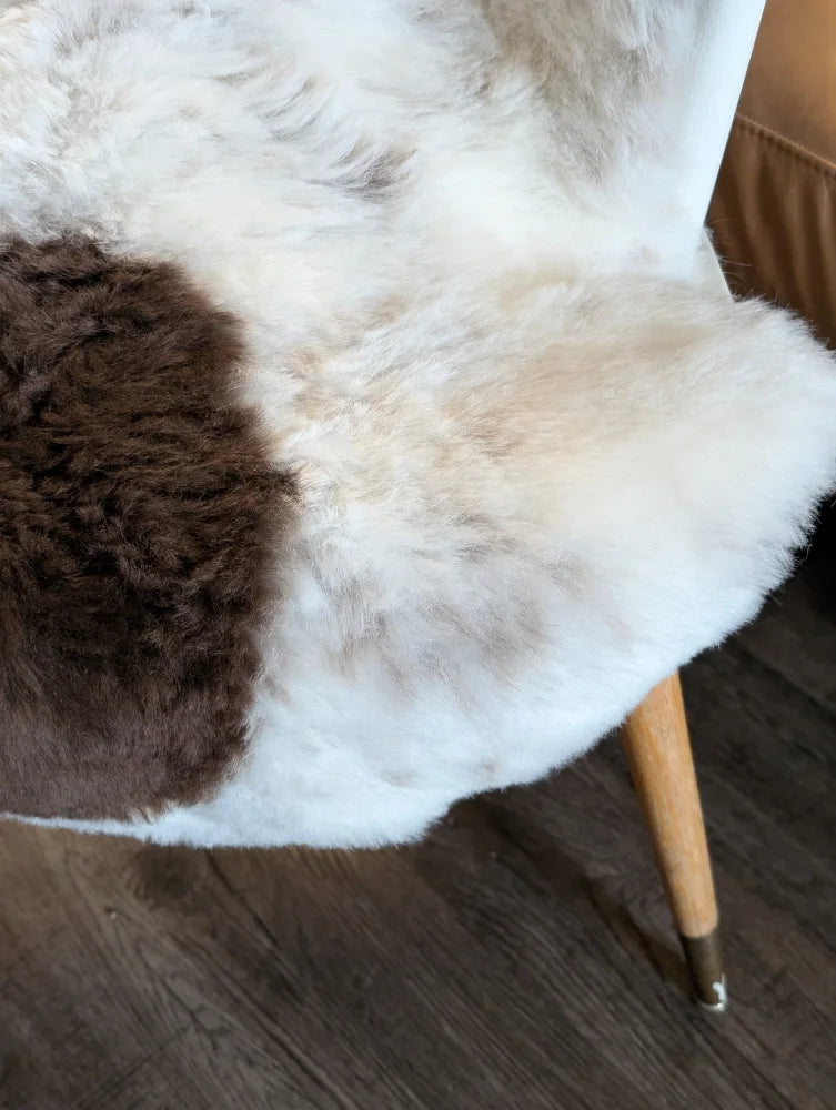 Cozy two-toned icelandic sheepskin chair cover with plush white and brown short wool fur texture medium size