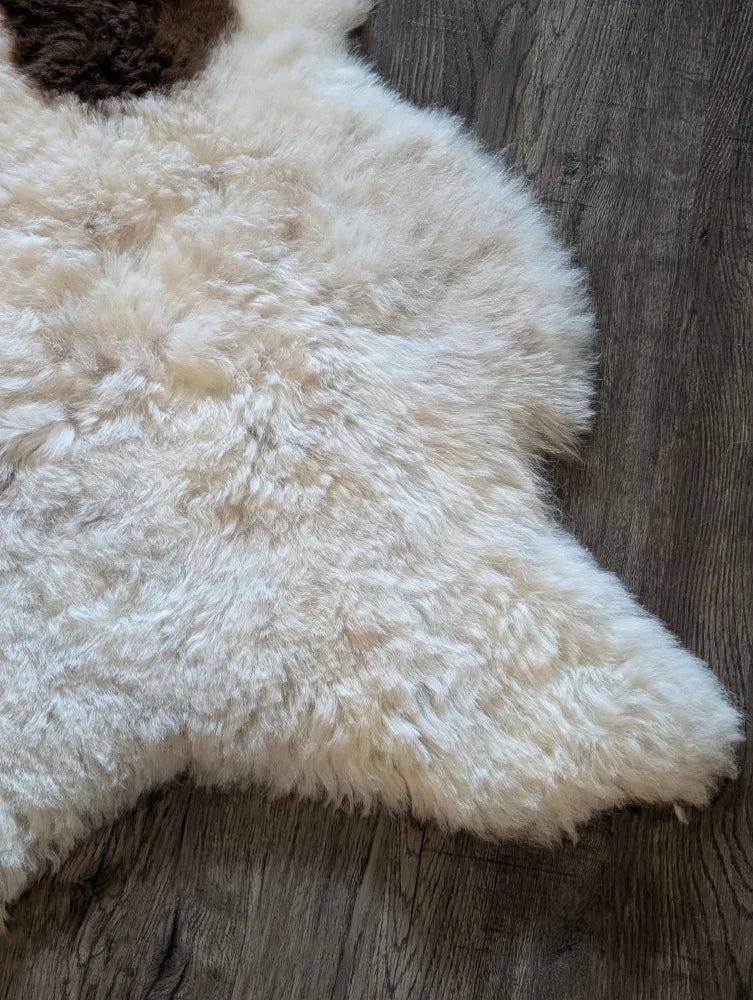Cream-colored fluffy icelandic sheepskin rug with natural edge made of short wool on dark wood floor