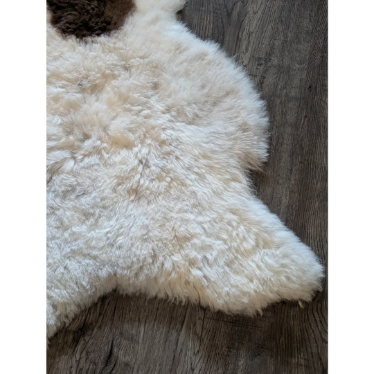 Cream-colored fluffy icelandic sheepskin rug with natural edge made of short wool on dark wood floor
