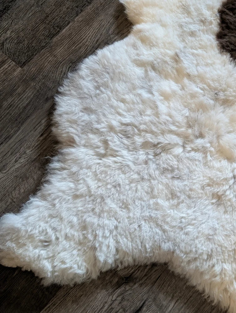 A plush off-white medium spotted icelandic sheepskin rug with soft curly short wool on dark wood floor