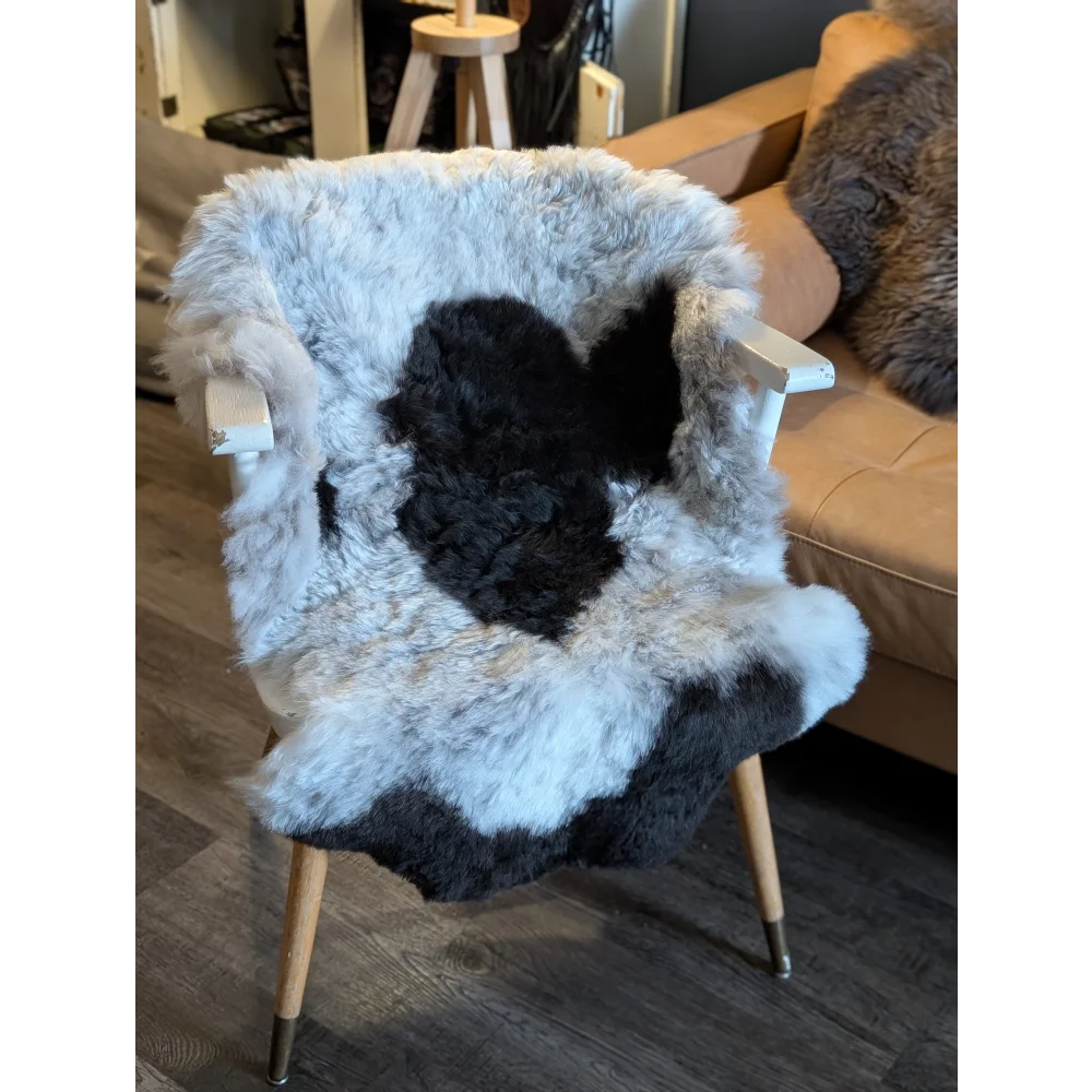 A cozy black and white cow print icelandic sheepskin chair cover with short wool draped over a white wooden armchair