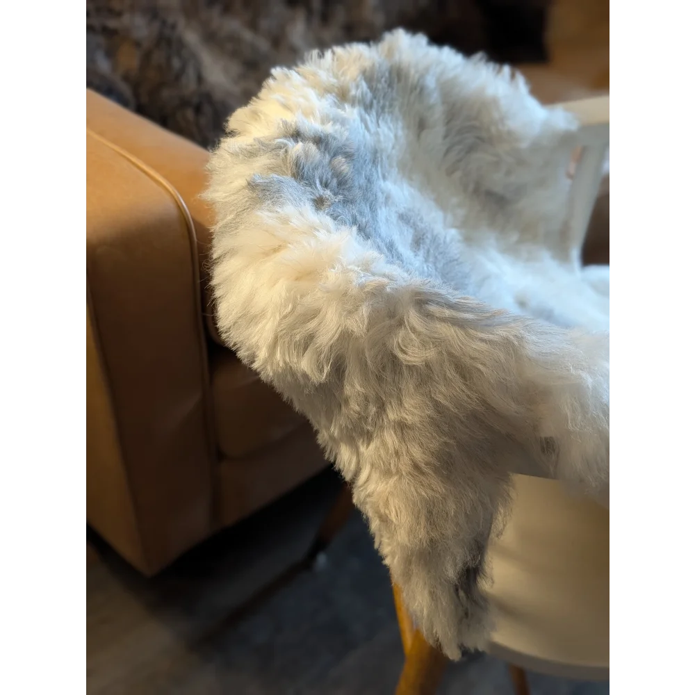 A plush white and gray medium spotted icelandic sheepskin throw with short wool draped over a chair