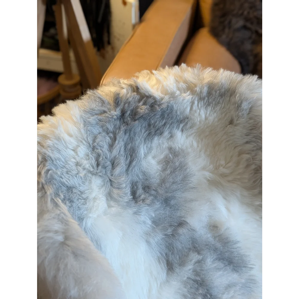 A plush icelandic sheepskin rug with soft short wool in natural white and gray spotted medium size 40.5 by 29.5 inches