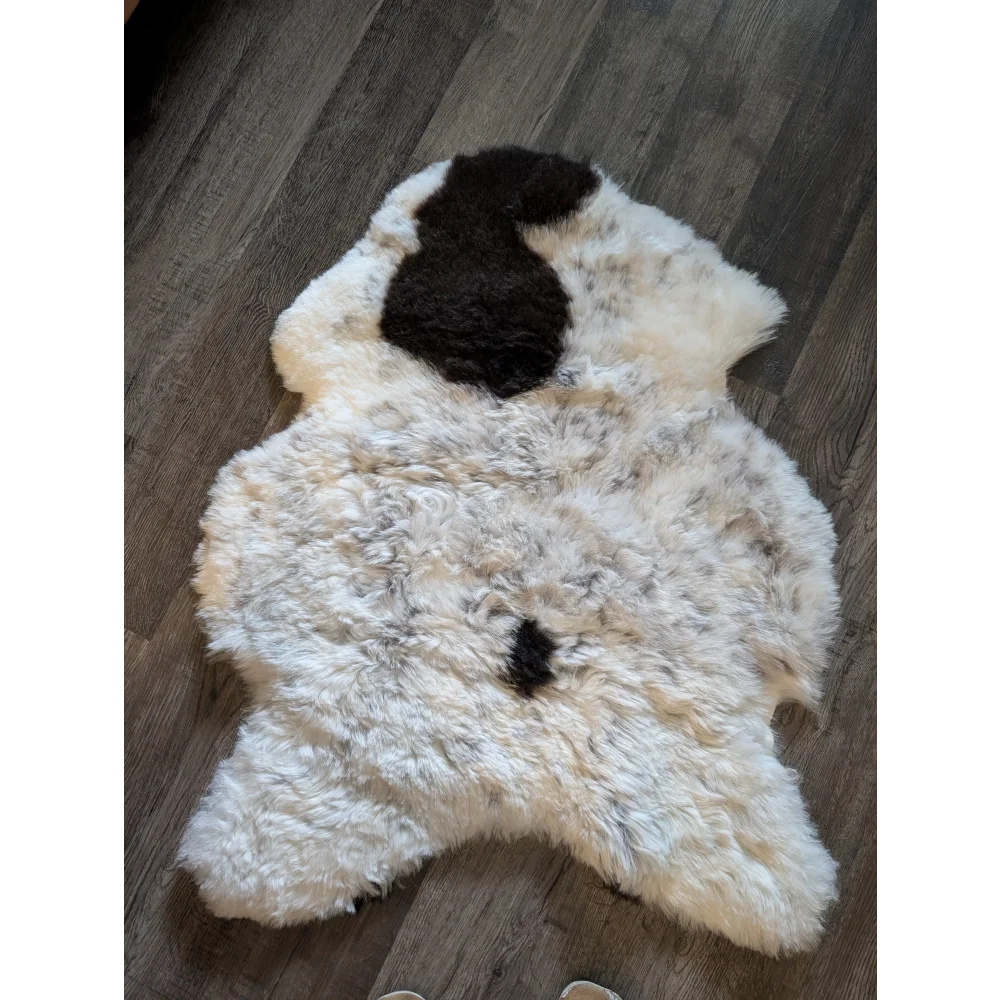 A fluffy cream-colored icelandic sheepskin rug with dark brown patches shaped like dog ears and tail made of short wool