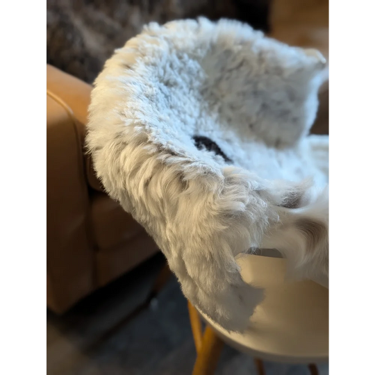 White fluffy icelandic sheepskin chair cover made of short wool draped over a modern white stool