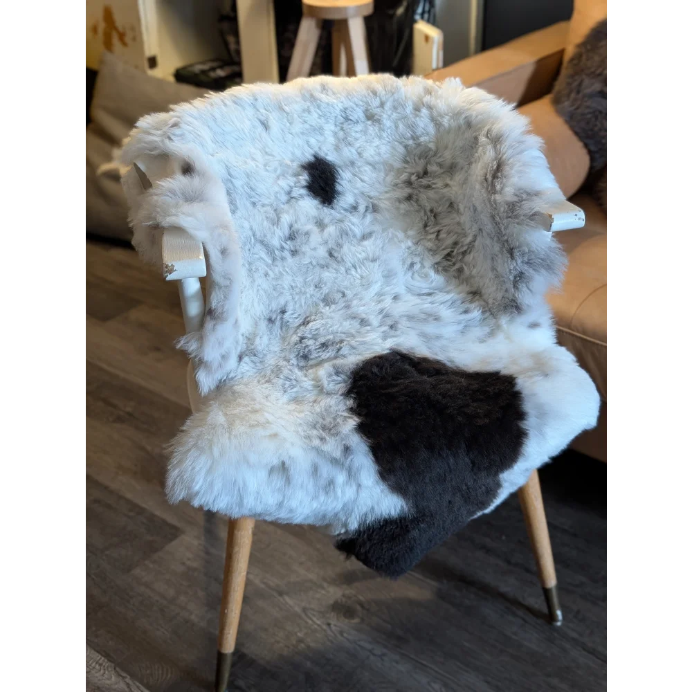 A cozy medium spotted icelandic sheepskin with short wool in white and black draped over a wooden chair