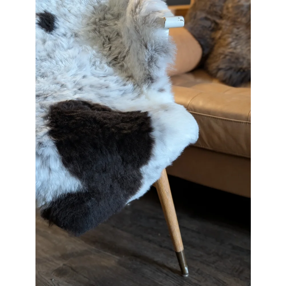 A plush black and white cow print icelandic sheepskin throw with short wool draped over a wooden-legged chair leg