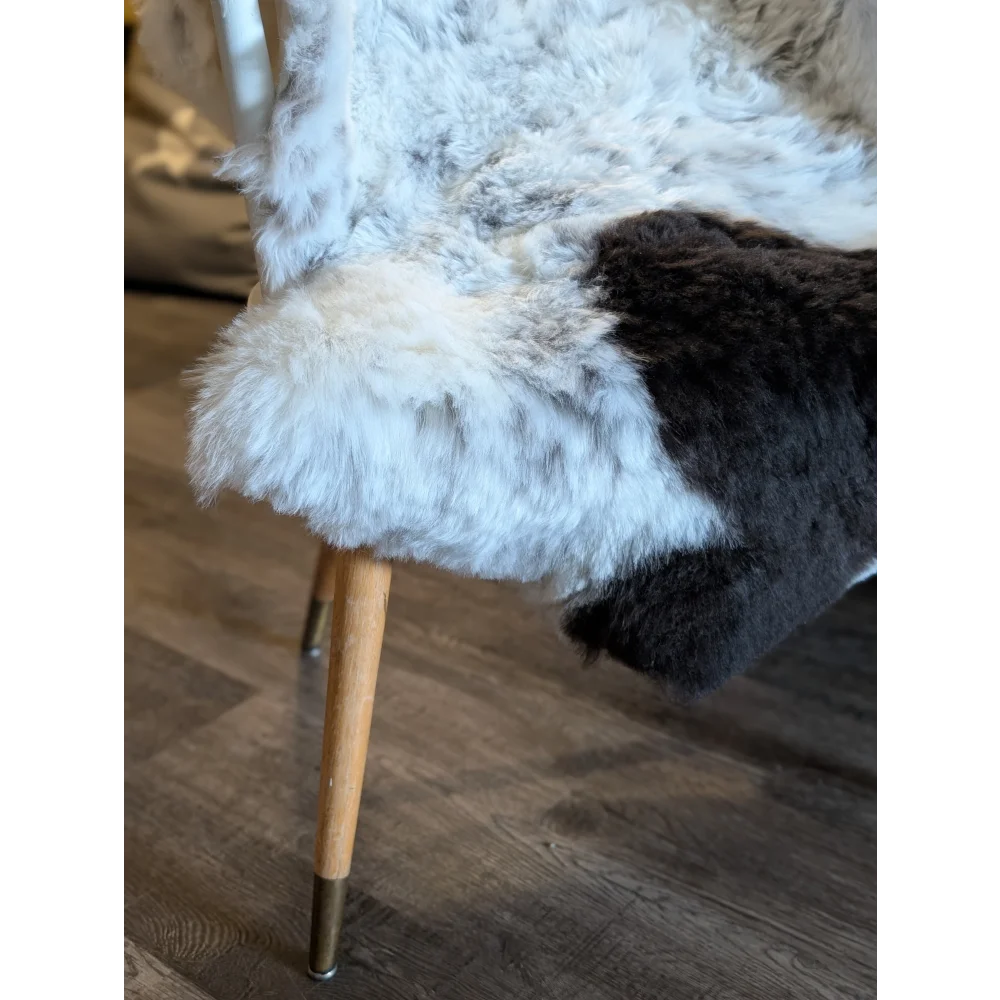Cozy two toned icelandic sheepskin rug with soft white and dark gray short wool draped over wooden chair leg