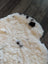Cream-colored icelandic sheepskin rug with black speckles made of medium short wool 41 by 32 inches