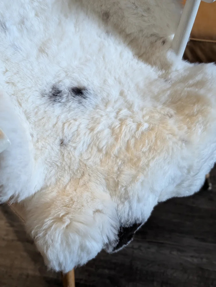 White fluffy icelandic sheepskin rug with dark spots made of short wool measuring 41 by 32 inches