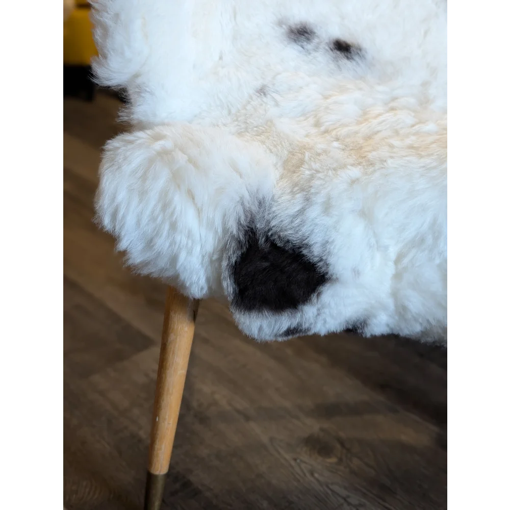 White and black fluffy icelandic sheepskin chair with wooden legs featuring medium spotted short wool texture