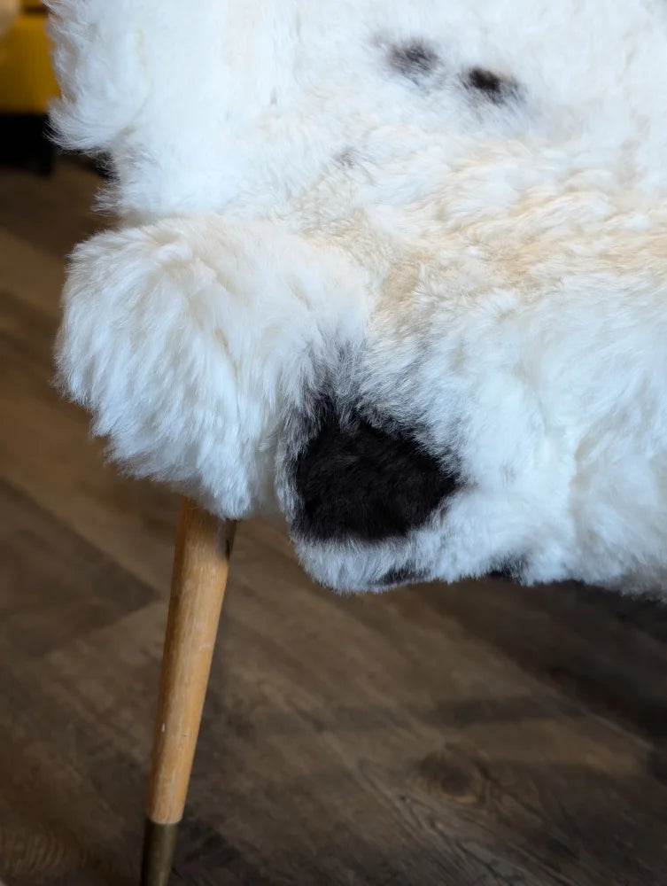 White and black fluffy icelandic sheepskin chair with wooden legs featuring medium spotted short wool texture